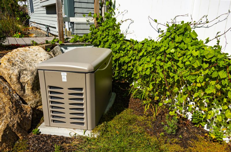 Residential Generator in a Garden